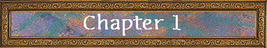 Chapter 1